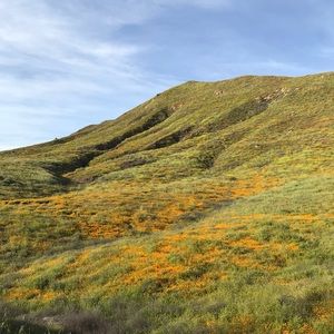 Meet your Posher, Gilberto